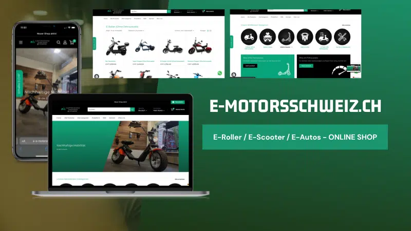 e-motorschweiz.ch - e motors schweiz - Rodrigues consulting